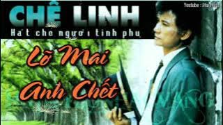 Lỡ Mai Anh Chết - Chế Linh