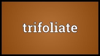 Trifoliate Meaning