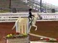 Zoie riding at the Marion Saddle club March 29th-08