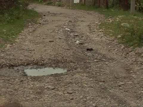 ვარდისუბნელები გზის პრობლემის შესახებ ჩივიან