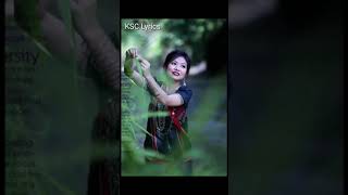 Sobono Farot /স্ববন পারত #Lyrics by Novonil Chakma 2021#Novonil Chakma