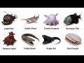Every Deep-Sea Creatures Explained