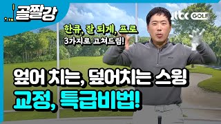 엎어 치는 스윙 교정 - 신준 프로