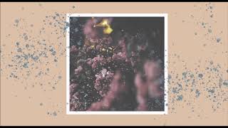 Download Lagu Bunraku - Yoyogi Koen MP3