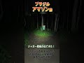 アマゾン森本【ブラジル縦断旅〜#1】日本からの出発~その2