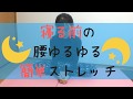 寝る前のストレッチ　デスクワークで疲れたカラダに　～腰編～