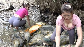 Top Video: Exciting Fishing, Fishing Techniques Harvesting Many Big Fish - Survival Skills