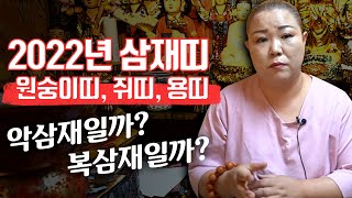 2022년 임인년 바뀌는 삼재, '원숭이띠·쥐띠·용띠' 악삼재와 복삼재 [유명한점집]