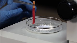 Working with Proteins