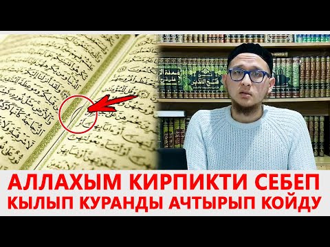 Video: Кирпик клейин тазалоонун 3 жолу