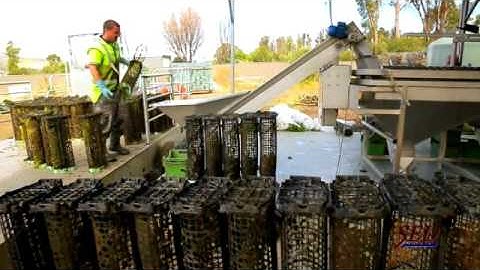 SED Shellfish Equipment - Seed and Juvenile Graders