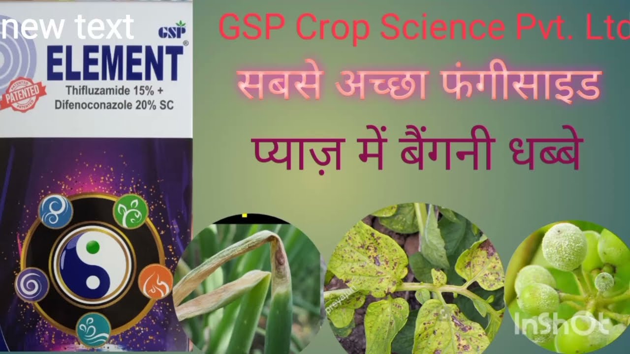 GSP Crop Science Pvt. Ltd         Thifluzamide-15 %       Difenoconazole 20%Sc