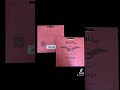 اوتار دو دو للعود أكويلا ريدز توفر تجربة موسيقية غنية بفضل اوتار دو دو للعود أكويلا ريدز توفر تجربة موسيقية غنية بفضل
