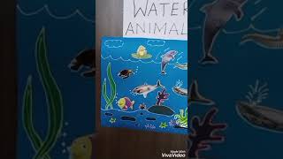 let us explore under water animals