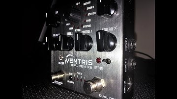 Source Audio Ventris - EchoVerb Engine - Parameter Tweaking Demo