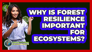 Why Is Forest Resilience Important For Ecosystems? - Earth Science Answers