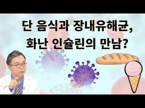 단 음식,  장내유해균,  폭주하는 인슐린이 만나면 빚어지는 최악의 건강상태는 바로 만성염증!