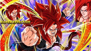 THE GOD AMONG MEN INT SSJ4 GOGETA 55% SHOWCASE(Dragon Ball Z Dokkan Battle)