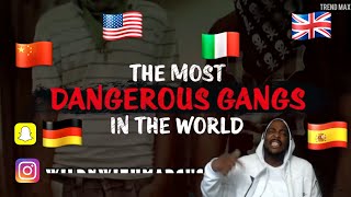 The Most Dangerous Gangs Worldwide||Reaction... You Can Learn A Lot!