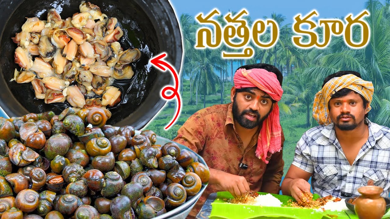 పాతకాలం పద్దతిలో నత్తల కూర  || Nattala Curry || Snail Recipe
