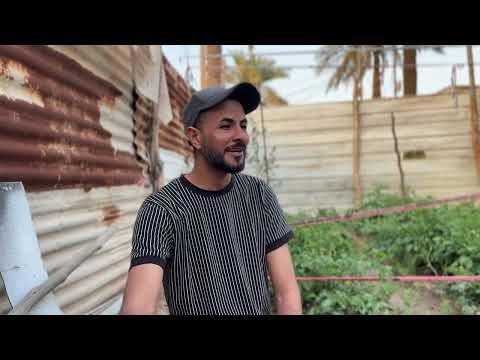 تيم الملة انواع الفراوله