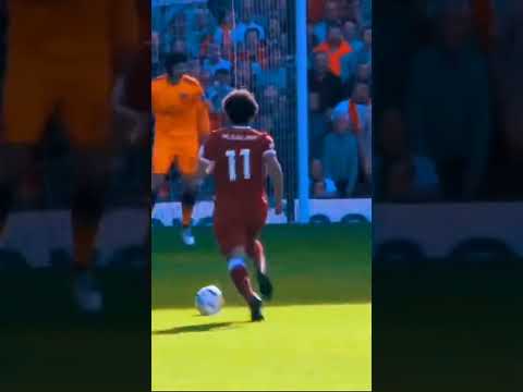 سوابق مقطع رخصتي