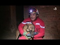 La brigade cynotechnique des pompiers de loise