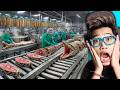TERBONGKAR! BEGINI TERNYATA ULAR DIPROSES, Pabrik PETERNAKAN ULAR TERBESAR DI INDONESIA!
