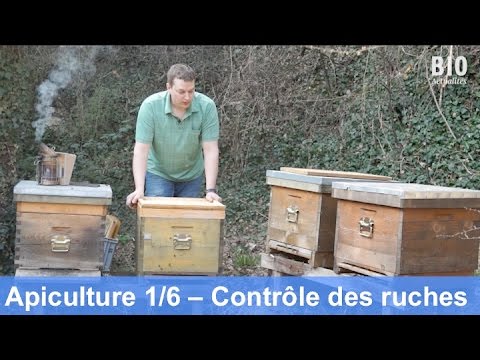 L’apiculture bio au cours de l’année – Contrôle des ruches (partie 1/6) L’apiculture bio au cours de l’année – Contrôle des ruches (partie 1/6)
