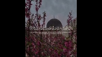 تلاوة هادئة تريح الأعصاب 😴🎧 القارئ: اسلام صبحى سوره: الأحزاب 💙❤