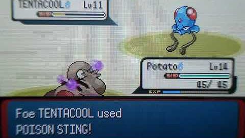 Pokemon Emerald Walkthrough Part 12- Dewing it up!