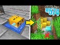 IL PASSAGGIO SEGRETO che va A PESCI - Minecraft ITA - Survival 1.14 #574