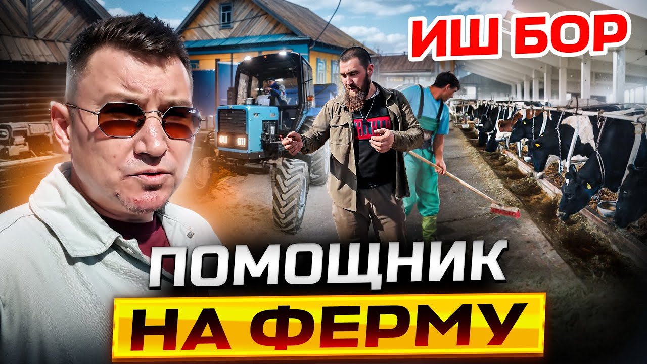 Иш бор Татарстанда. Семейный пара Узбекистандан 🇺🇿