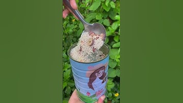 Thumbnail of MAKANAN SEHAT LOTUS ROOT BUBUR TERATAI BAGUS BUAT KULIT MAKANAN DIET #shortvideo