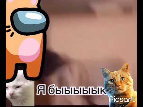 Мем с котом я бык