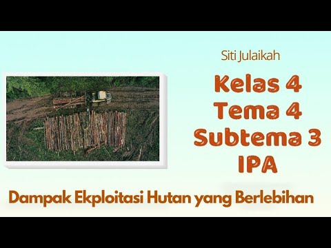 Dampak Eksploitasi Hutan yang Berlebihan - Kelas 4 Tema 4 Subtema 3 - IPA