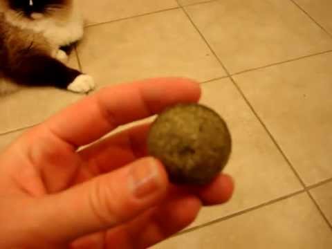 pawbreakers catnip ball