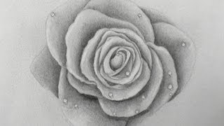⁣Learn to Draw: How to Draw a Rose - Fine Art-Tips