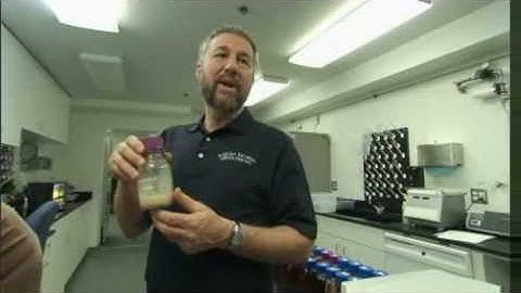 HowStuffWorks Show: Episode 5: Yeast And Beer