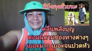 #คลื่นพลังบุญ ตอนนี้ตามช่องทางต่างๆ เยอะมากจนจะปวดหัว #มาแรง