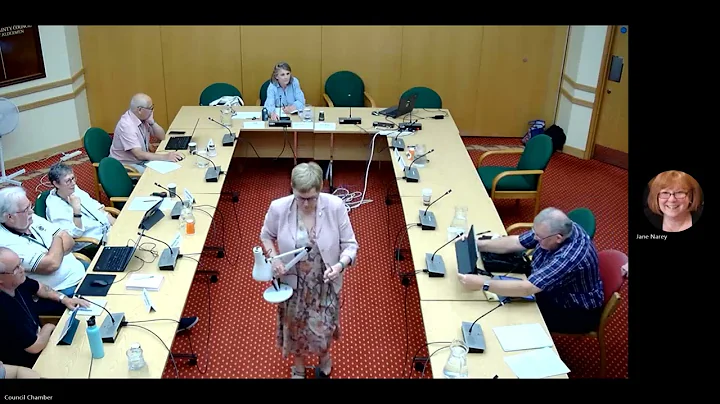 Strategic Overview and Scrutiny Committee - 26 June 2025