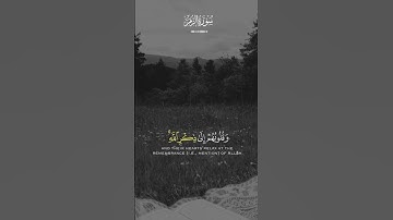 سورة الزمر بصوت جميل ♥️🥹♥️