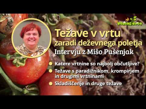 Video: Skrivnostni Krogi Posevkov V Voronežu: NLP-ji Ali Nekoga Potegavščina? - Alternativni Pogled