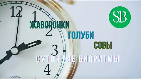 ЖАВОРОНКИ, ГОЛУБИ, СОВЫ. СУТОЧНЫЕ БИОРИТМЫ