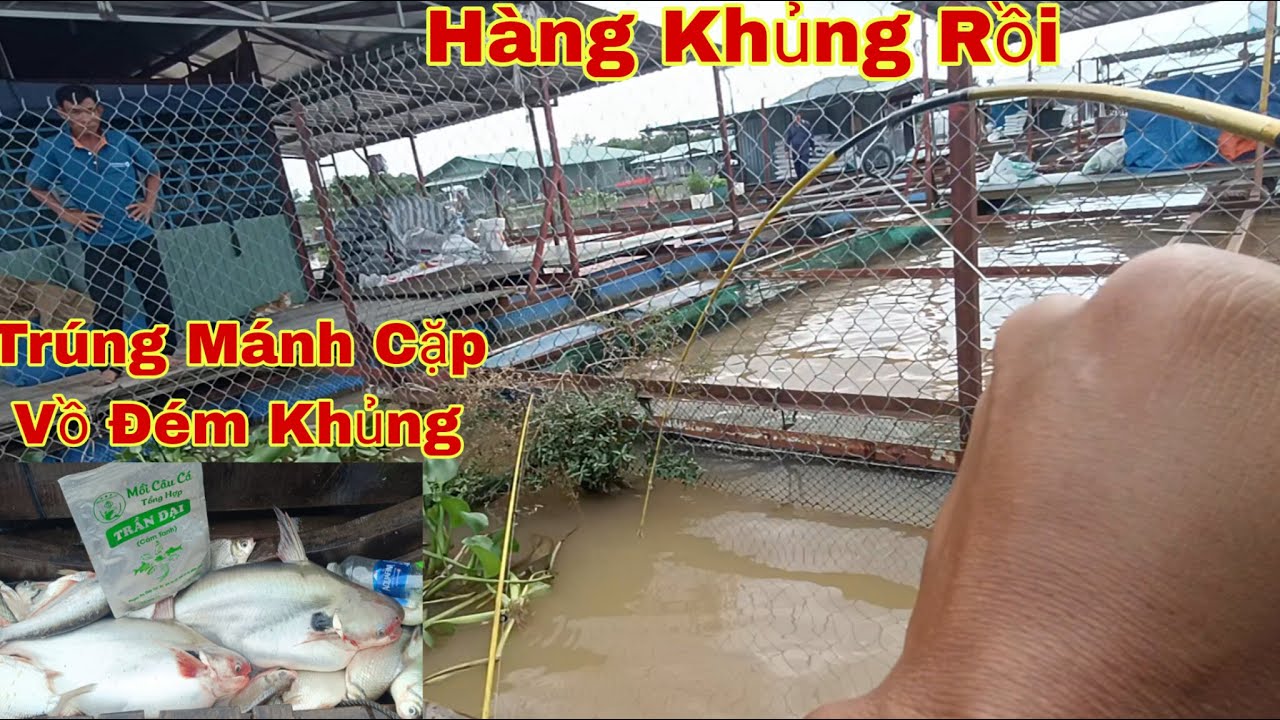 Câu Cá Trên Xuồng | Run Tay Khi Đụng Độ Cặp Cá Dồ Đém Khủng | Trần Đại Fishing