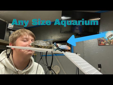 DIY Turtle Basking Area/ *UNDER $15*/ Using Egg Create