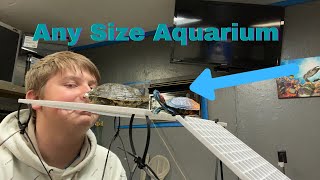 DIY Turtle Basking Area/ *UNDER $15*/ Using Egg Create