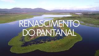 Globo Repórter: Renascimento do Pantanal