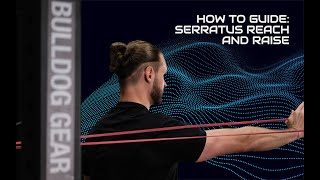 Try the serratus reach and raise for overhead shoulder stability // Dynamic Shoulders