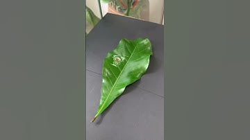 Khắc nghệ thuật quá đơn giản với máy khắc Laser  #automation #machine #laser